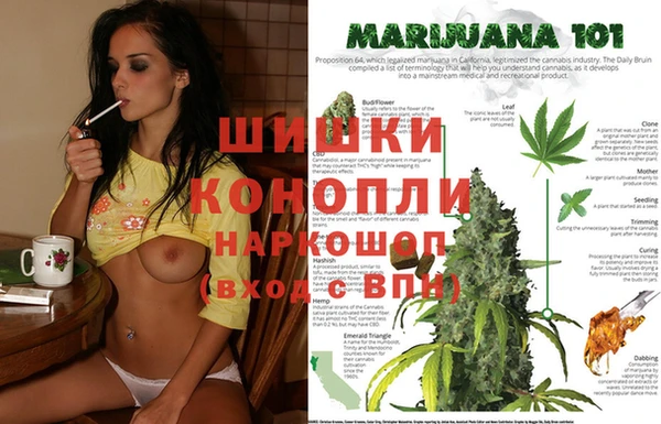 первитин Белокуриха