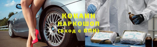 гашик Белоозёрский
