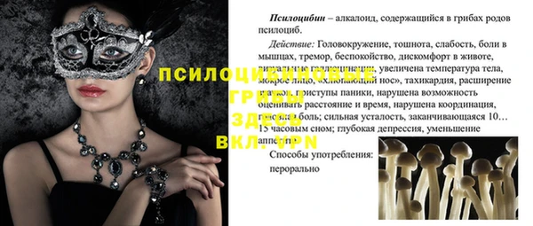 гашик Белоозёрский
