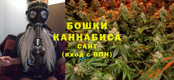 гашик Белоозёрский