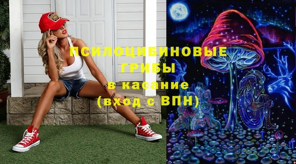 гашик Белоозёрский